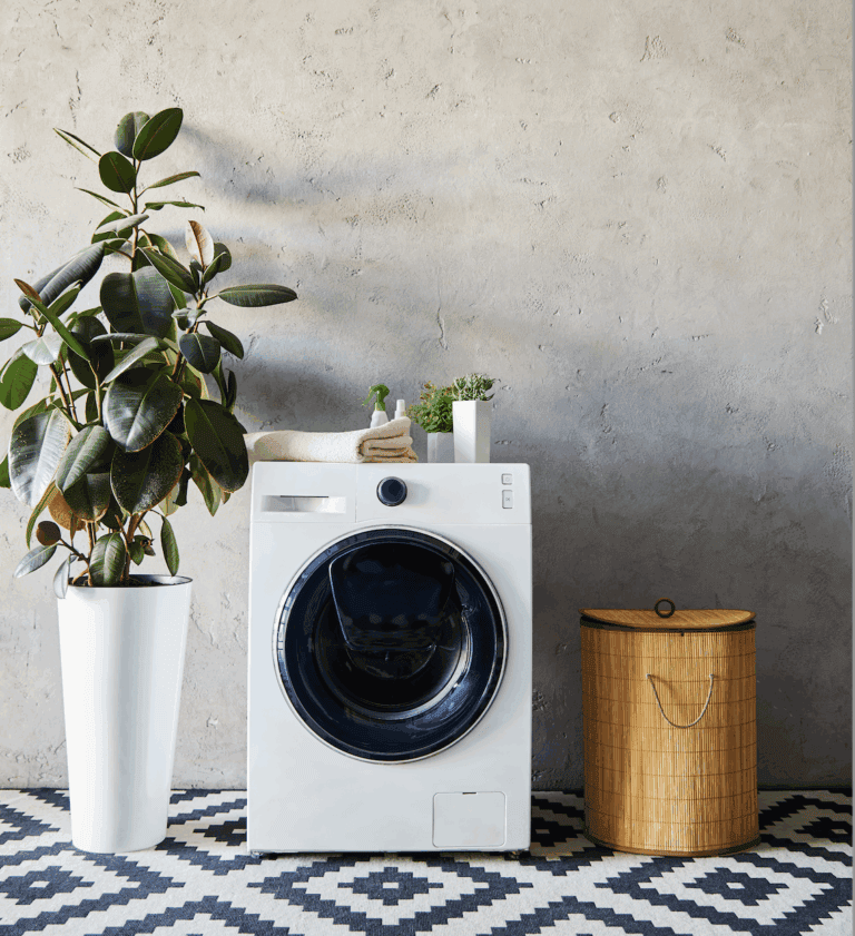 A front-loading washing machine with water line installation sits topped with a potted plant, cleaning supplies, and a towel, next to a tall potted plant and a wicker laundry basket on a patterned floor.